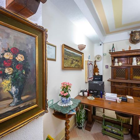Hotel "San Saena " Radhimë エクステリア 写真